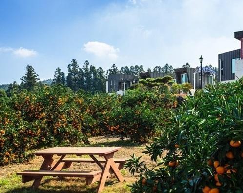 Banhakeura Pension Jeju Exterior foto